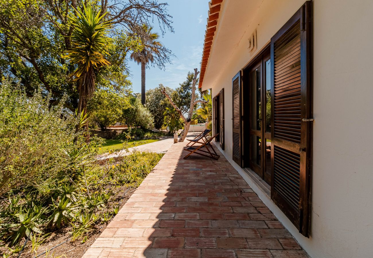 Cottage in Odiáxere - Quinta da Alfarrobeira  – V062