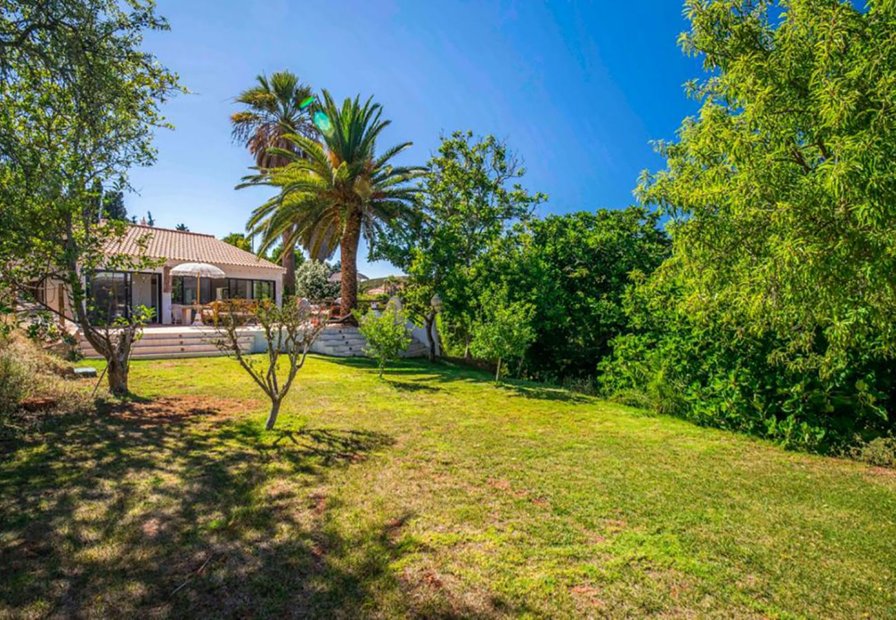 Cottage in Odiáxere - Quinta da Alfarrobeira  – V062