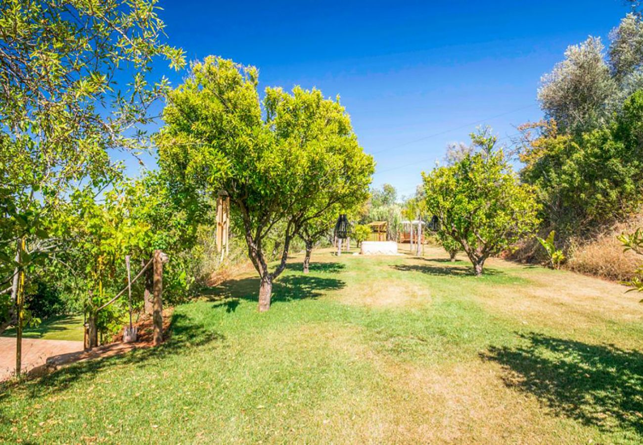 Cottage in Odiáxere - Quinta da Alfarrobeira  – V062